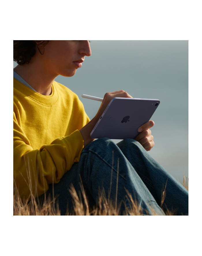 apple iPad mini Wi-Fi 256GB - Księżycowa poświata główny