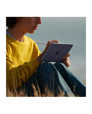 apple iPad mini Wi-Fi 256GB - Różowy