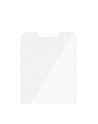 panzerglass Szkło hartowane Super + iPhone 13 Mini 5,4 Standard Anti Bacterial - nr 41