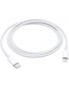 apple Przewód z USB-C na Lightning (1 m) - nr 30
