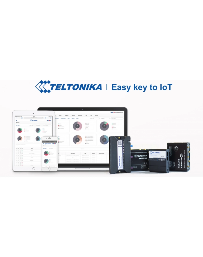 teltonika networks TELTONIKA RMS - Remote Management System główny