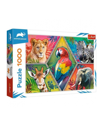 Puzzle 1000el Egzotyczne zwierzęta 10671 Trefl