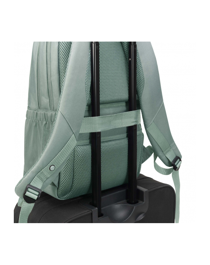 dicota Plecak ECO Backpack SCA LE 13-15.6 szary główny