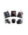 kensington Trackball Orbi, przewodowy, z pierścieniem przewijania - nr 76