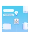 tp-link Mini Smart Socket WiFi Tapo P110 z kontrolą zużycia energii - nr 28