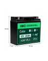 GREEN CELL Battery AGM 12V 22Ah - nr 9