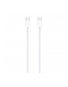 APPLE Magic Mouse ZML (P) - nr 1