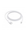 APPLE Lightning to USB Cable 1m (P) - nr 17