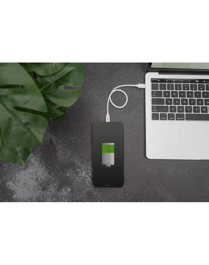 DIGITUS USB charger/data cable Lightning - USB-C M/M 1.0m metal PVC MFI CE bl główny