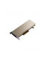 PNY NVIDIA A2 16GB 128-bit GDDR6 Low-profile single slot passive - nr 10