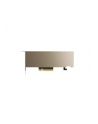 PNY NVIDIA A2 16GB 128-bit GDDR6 Low-profile single slot passive - nr 12