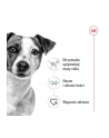 Karma ROYAL CANIN SHN Mini Adult w sosie 12X85G - nr 8