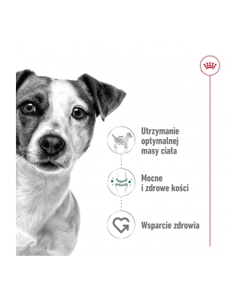 Karma ROYAL CANIN SHN Mini Adult w sosie 12X85G nr 2