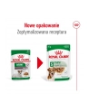 Karma ROYAL CANIN SHN Mini Ageing 12+ 12x85g - nr 5