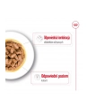 Karma ROYAL CANIN SHN Mini Ageing 12+ 12x85g - nr 6