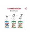 Karma ROYAL CANIN SHN Mini Ageing 12+ 12x85g - nr 7