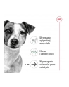 Karma ROYAL CANIN SHN Mini Ageing 12+ 12x85g - nr 8