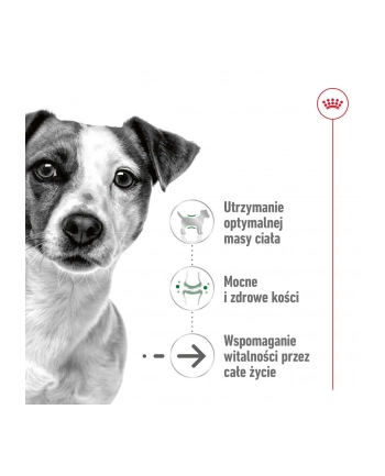 Karma ROYAL CANIN SHN Mini Ageing 12+ 12x85g nr 2