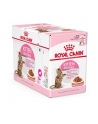 Karma ROYAL CANIN FHN Kitten Sterilised sos 12x85g - nr 1