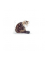 ROYAL CANIN FHN Ageing 12+ w galaretce - mokra karma dla kota starszego - 12x85g - nr 4