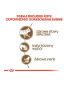 ROYAL CANIN FHN Ageing 12+ w galaretce - mokra karma dla kota starszego - 12x85g - nr 5