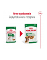 Karma ROYAL CANIN SHN Mini Adult w sosie 12X85G - nr 3