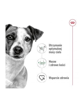 Karma ROYAL CANIN SHN Mini Adult w sosie 12X85G