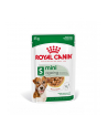 Karma ROYAL CANIN SHN Mini Ageing 12+ 12x85g - nr 4
