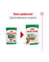 Karma ROYAL CANIN SHN Mini Ageing 12+ 12x85g - nr 5