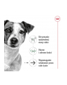 Karma ROYAL CANIN SHN Mini Ageing 12+ 12x85g - nr 8