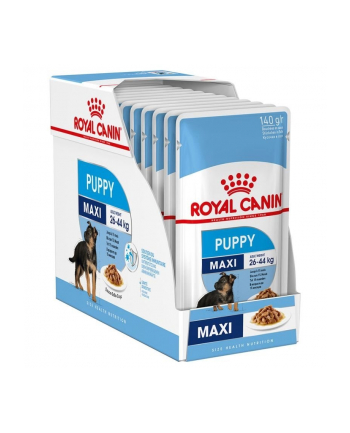 Karma ROYAL CANIN SHN Maxi Puppy w sosie 10X140G