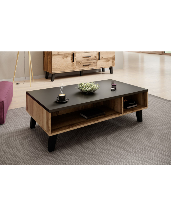 cama meble Ława LOTTA 110 wotan + czarny mat główny