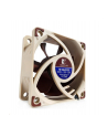 Wentylator NOCTUA NF-A6x25 60x25 mm 5V - nr 3