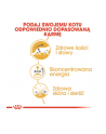 ROYAL CANIN Maine Coon - saszetka 12x85g - nr 3