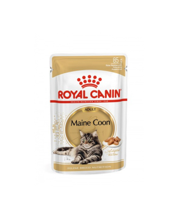 ROYAL CANIN Maine Coon - saszetka 12x85g