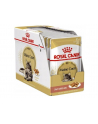 ROYAL CANIN Maine Coon - saszetka 12x85g - nr 5