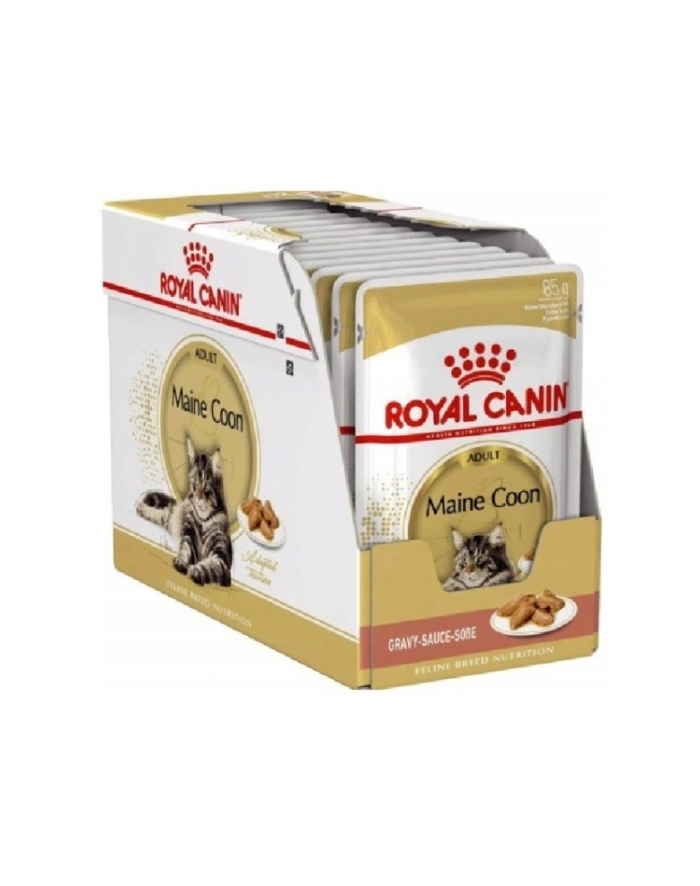 ROYAL CANIN Maine Coon - saszetka 12x85g główny
