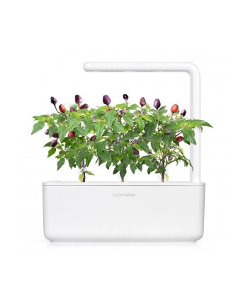 click and grow Click'Grow Kapsułki z nasionami Smart Soil Purpurowe Chili 3pak nr 1