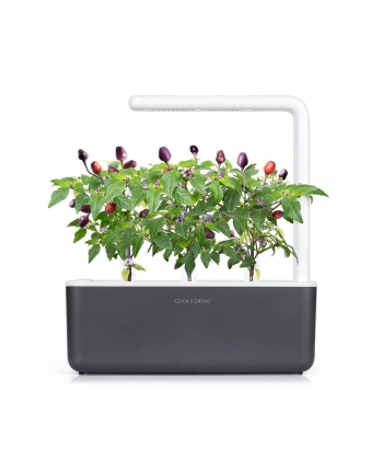 click and grow Click'Grow Kapsułki z nasionami Smart Soil Purpurowe Chili 3pak nr 2