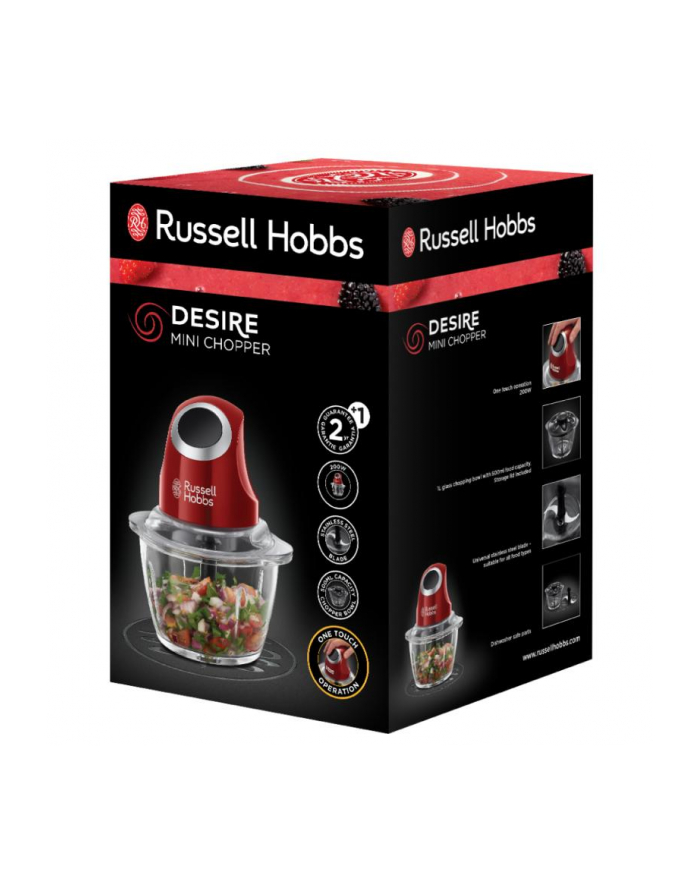 russel hobbs Rozdrabniacz RUSSELL HOBBS 24660-56 główny