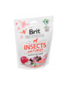 Przysmak Brit Care Dog Insect'Turkey 200g - nr 2