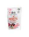 Przysmak Brit Care Dog Insect'Turkey 200g - nr 3