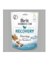 Przysmak Brit Care Dog Recovery Herring 150g - nr 2