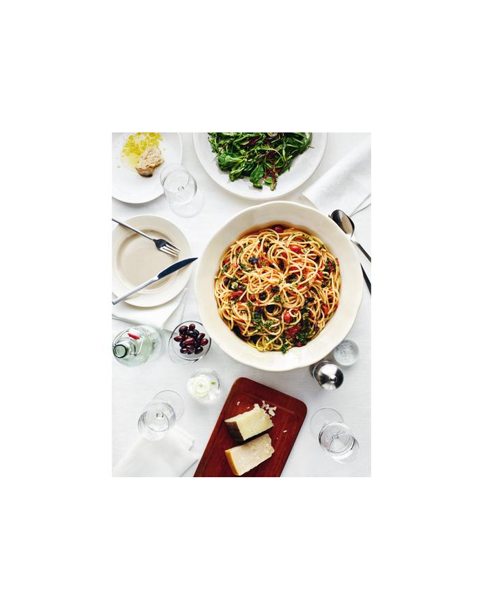 Garnek ELECTROLUX E9KLSA11 główny