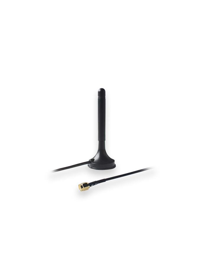 Antena magnetyczna WiFi Teltonika PR1KRF30 główny