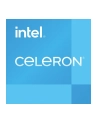 PROCESOR Intel Celeron G6900 4M Cache to 340GHz - nr 15