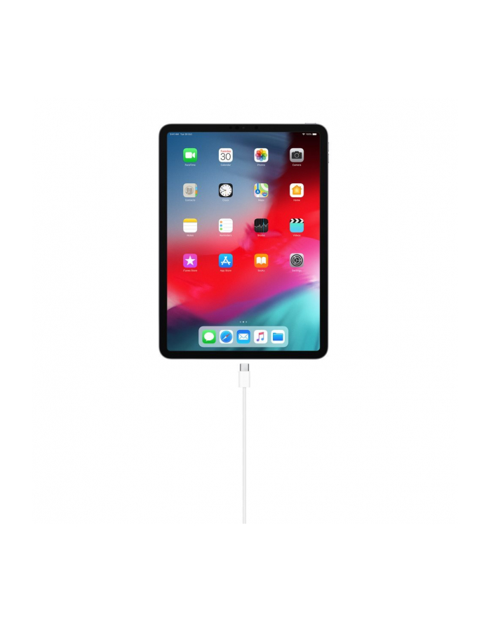 Apple USB-C Charge Cable (1m) główny