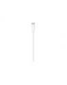 Apple USB-C to Lightning Cable (1 m) - nr 8