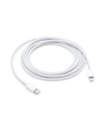 Apple USB-C to Lightning Cable (2 m) - nr 41