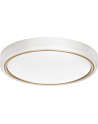 Plafon LED Activejet AJE-VERDI W/G White/Gold 23W - nr 1